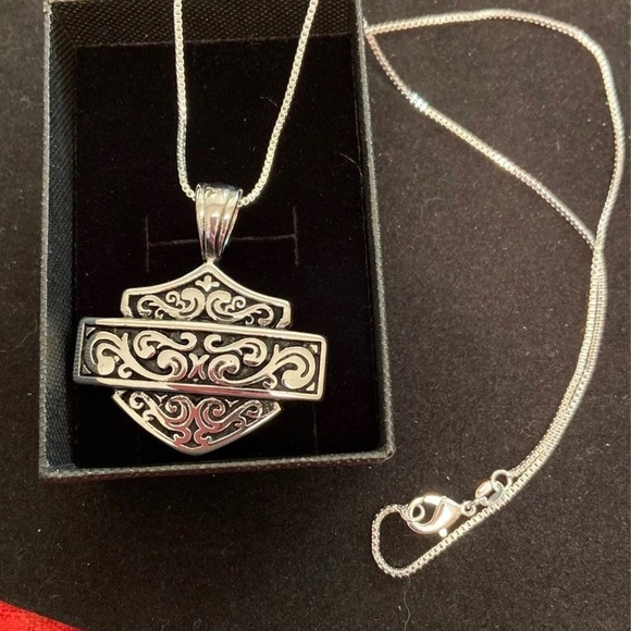 Silver HD Pendant Necklace - Picture 2 of 13